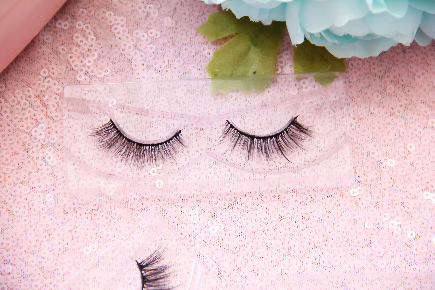 Lash Box Collection-SEPTEMBER 2022-